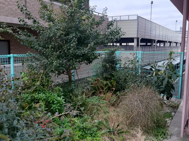 1000件以上の実績！美しい仕上がりと丁寧な作業で感動をお届けサービスの画像