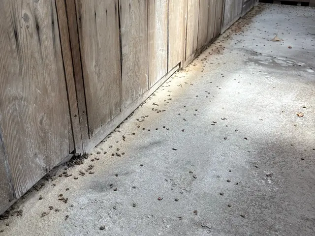 プロの技術でご満足いただけるように心を込めて作業いたしますサービスの画像