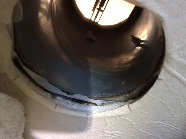 コウモリの対処をお任せ下さい！２次被害のダニノミ処理にも対応しております♬サービスの画像