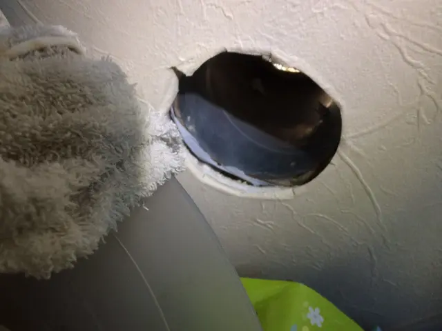 コウモリの対処をお任せ下さい！２次被害のダニノミ処理にも対応しております♬サービスの画像