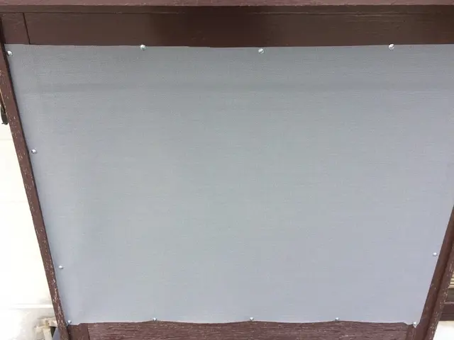 コウモリの対処をお任せ下さい！２次被害のダニノミ処理にも対応しております♬サービスの画像