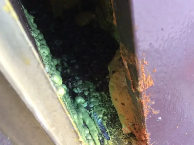 コウモリの対処をお任せ下さい！２次被害のダニノミ処理にも対応しております♬サービスの画像