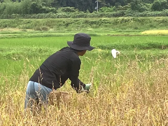 草刈り作業サービスの画像