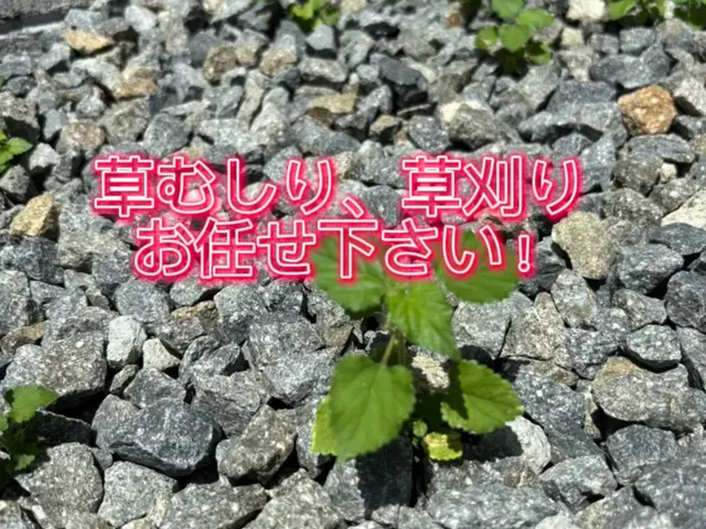 草むしりでお庭綺麗にサービスの画像