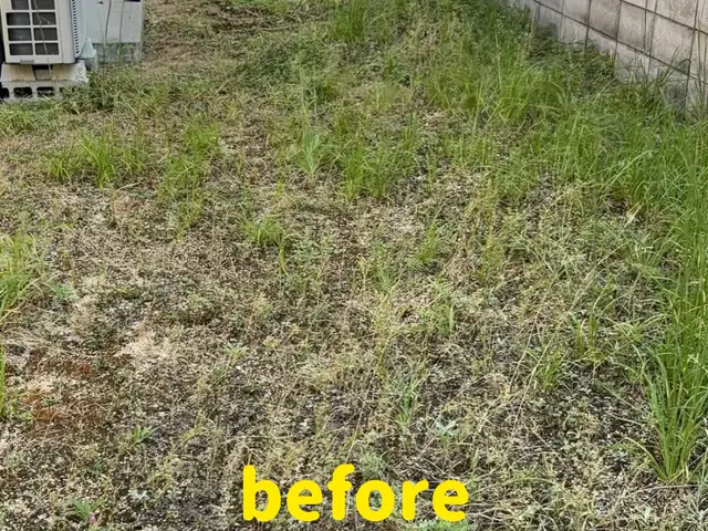 草むしりでお庭綺麗に。大変人気のサービスでございます！ご予約お待ちしております。サービスの画像