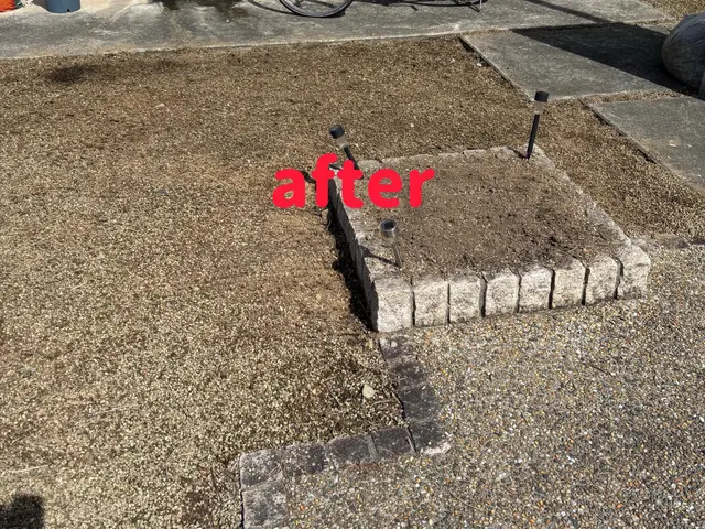 草むしりでお庭綺麗に。大変人気のサービスでございます！ご予約お待ちしております。サービスの画像