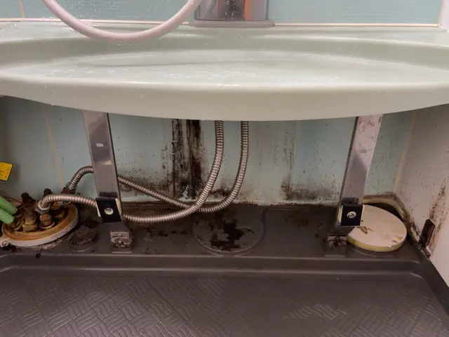 【浴室全体とエプロン内部洗浄】◇除菌・消臭◇鏡ウロコ取り◇カビ・水アカ徹底洗浄♪サービスの画像