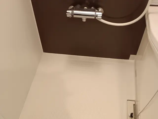 お風呂の清掃サービスの画像