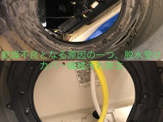 Panasonic専門★分解洗浄により乾燥不良・生乾き・カビ臭撃破、落下緊急対応サービスの画像