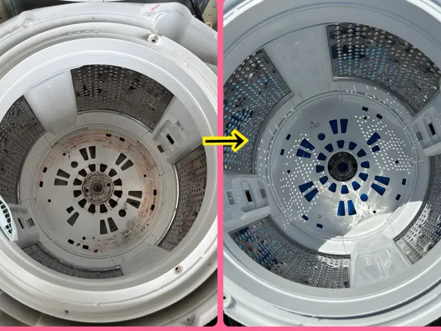 洗濯槽クリーニング(縦型)サービスの画像