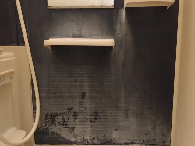 ◤くらマアワード受賞店◢　鏡研磨＆エプロン内部清掃込み！　❦優しい接客で安心❦サービスの画像