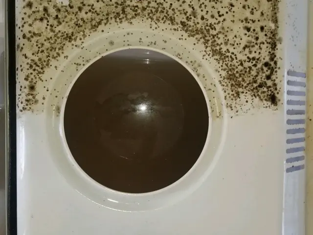 天然洗剤使用でお子様も安心！ハウスクリーニング士が丁寧洗浄！損保加入済み◎サービスの画像