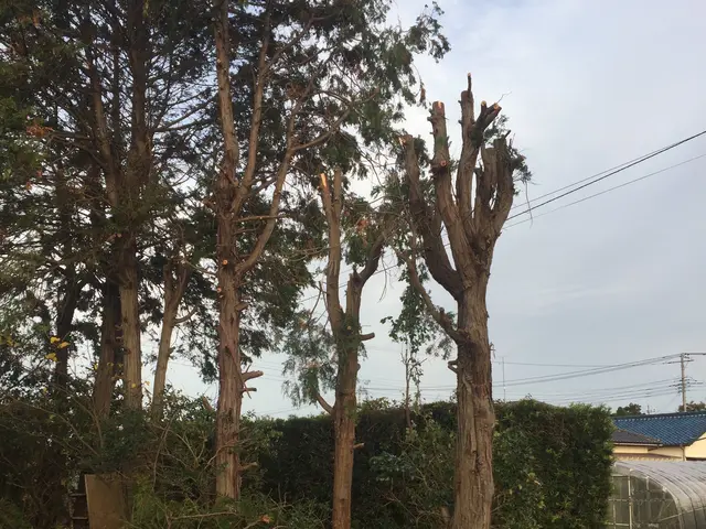 損害保険加入済で安心！親切・丁寧に対応いたします。☆特典付きもう一つサービス追加サービスの画像