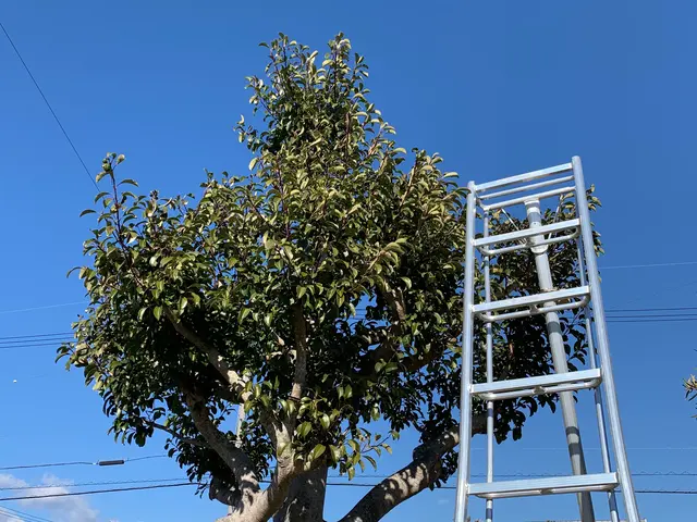 損害保険加入済で安心！親切・丁寧に対応いたします。☆特典付きもう一つサービス追加サービスの画像