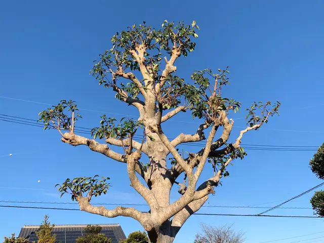 損害保険加入済で安心！親切・丁寧に対応いたします。☆特典付きもう一つサービス追加サービスの画像