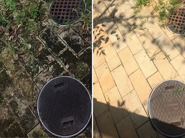 【鳥のフン・Gさんいてませんか？】ご自宅はもちろん、広い範囲のお掃除にも対応◎サービスの画像