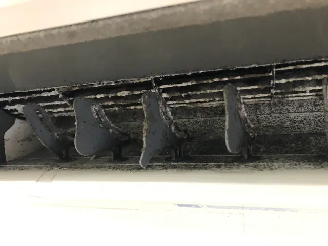 わんちゃんねこちゃんいらっしゃるご家庭大歓迎☆写真の私が伺います^_^サービスの画像