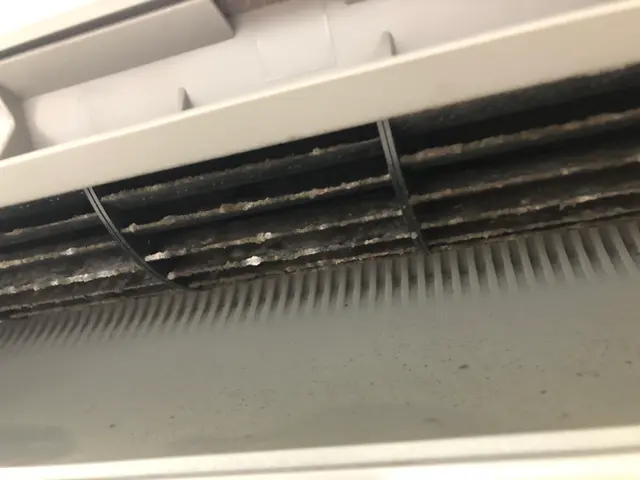 わんちゃんねこちゃんいらっしゃるご家庭大歓迎☆写真の私が伺います^_^サービスの画像