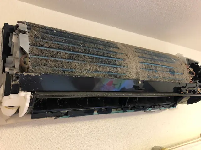 わんちゃんねこちゃんいらっしゃるご家庭大歓迎☆写真の私が伺います^_^サービスの画像