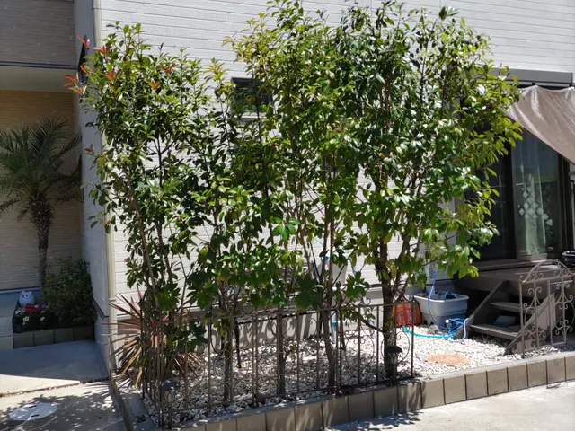 9年で500件の経験と技術★全て自社スタッフの作業で安心！サービスの画像