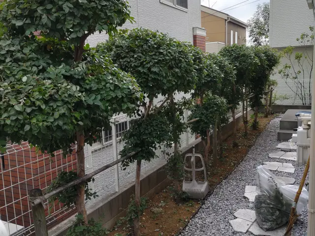 9年で500件の経験と技術★全て自社スタッフの作業で安心！サービスの画像