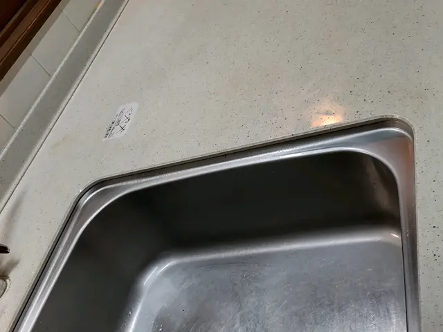 日々の掃除をお手伝い！☆損害保険加入済み☆サービスの画像