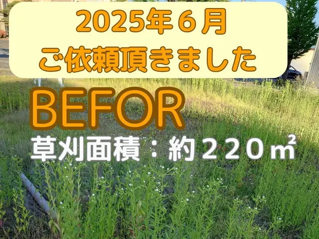 お庭、空き地の草刈り致します（山形南部中心、福島市近郊）料金スライド制 有りサービスの画像
