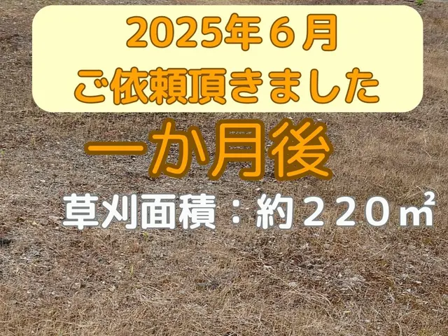 お庭、空き地の草刈り致します（山形南部中心、福島市近郊）料金スライド制 有りサービスの画像