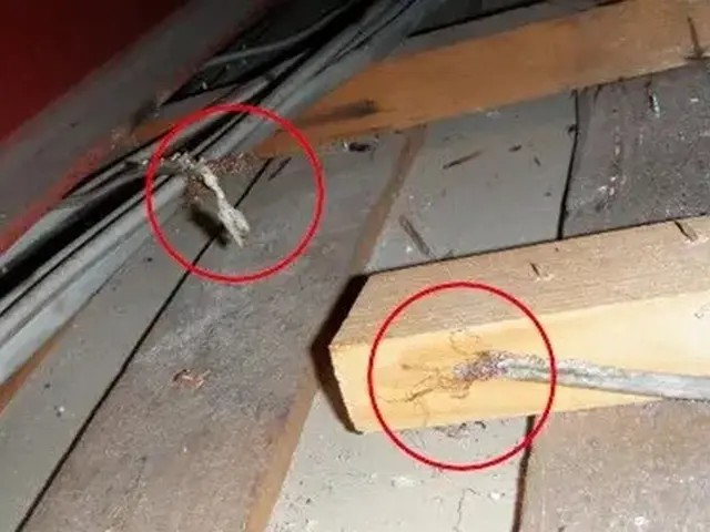 駆除歴10年以上の有資格者多数在籍【事前見積り無料】【事前調査可能】関西支店サービスの画像