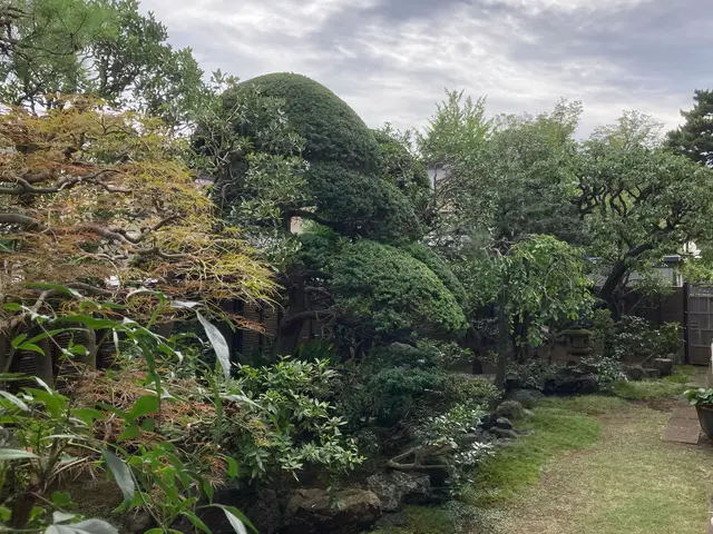 庭木の剪定お任せ下さい◯1級造園技能士◯確かな技術と丁寧な対応で安心サービスの画像