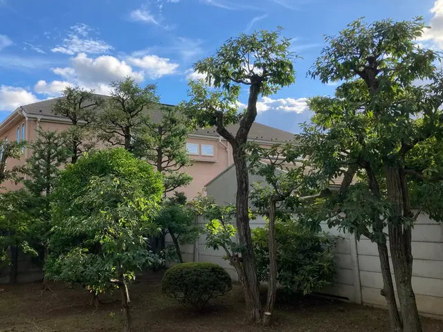 庭木の剪定お任せ下さい◯1級造園技能士◯確かな技術と丁寧な対応で安心サービスの画像