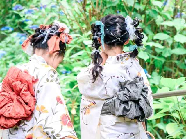 現役ヘアメイクのヘアセット付き。出張着付けサービス。苦しくなくて崩れないと高評サービスの画像