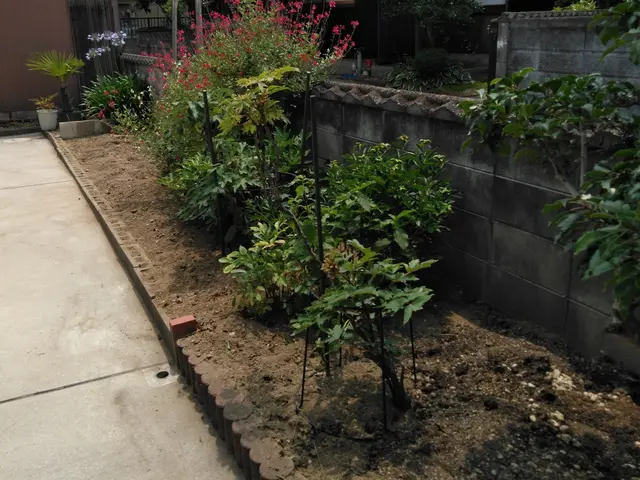 暮らしのお手伝いをお客様の立場になり親切に対応します♪サービスの画像