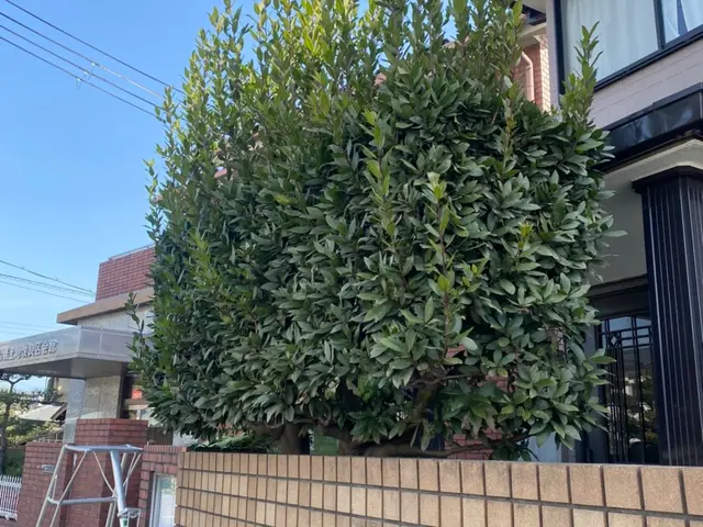 枚方市から伺います！自信の完全自社施工◎営業時間外・対応地域外でもご相談歓迎サービスの画像