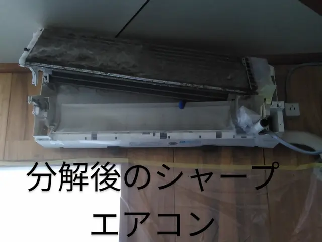 ★最高峰分解洗浄実施。私が高圧洗浄で熱交換器の表裏洗浄でカビ、臭い、汚れ徹底除去サービスの画像