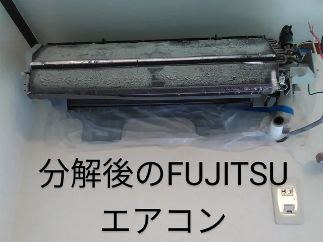 ★最高峰分解洗浄実施。私が高圧洗浄で熱交換器の表裏洗浄でカビ、臭い、汚れ徹底除去サービスの画像