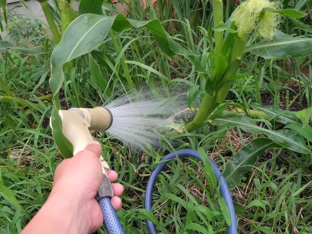 1000件以上の実績！美しい仕上がりと丁寧な作業で感動をお届けサービスの画像