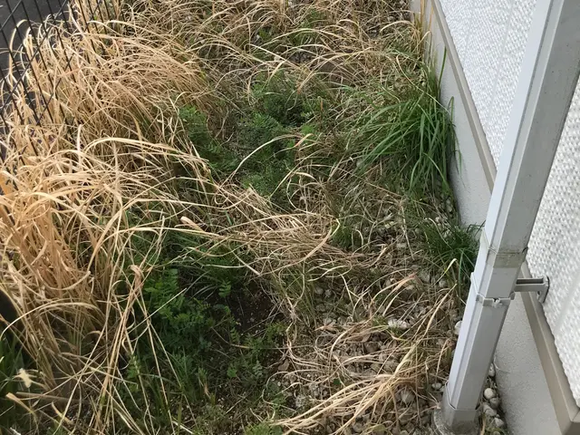 砂利敷き｜丁寧な施工と実績！痒いところに手が届くサービスをご提供します！サービスの画像