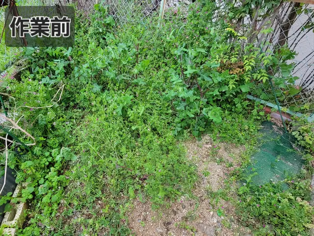公共街路の除草工事経験のある女性店主による草むしり!【~30㎡迄 18000円】サービスの画像