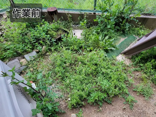 公共街路の除草工事経験のある女性店主による草むしり!【~30㎡迄 18000円】サービスの画像