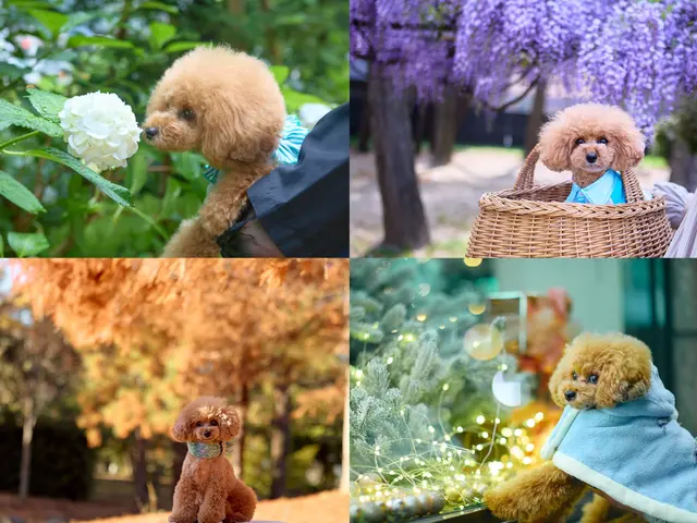 経験豊富なカメラマンによるペットと一緒の記念撮影！撮影データは即納！