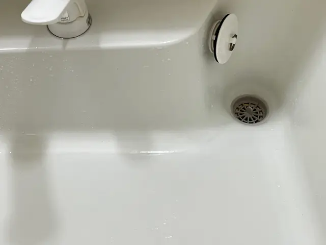 《女性スタッフ》大手ハウスクリーニング社で経験ありの店長がお伺い！サービスの画像