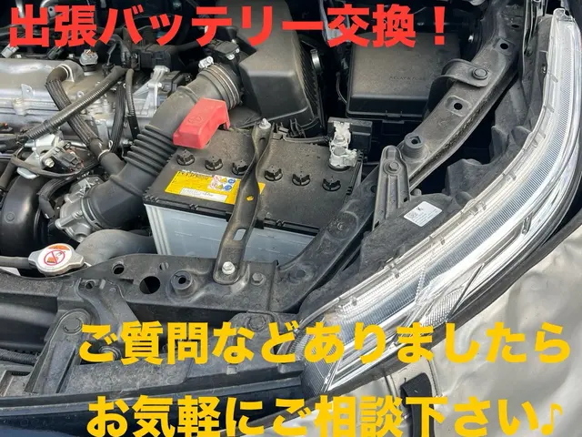☆即日対応もご相談ください！ジャンプスタートも対応可能！発電量の点検も行います！サービスの画像