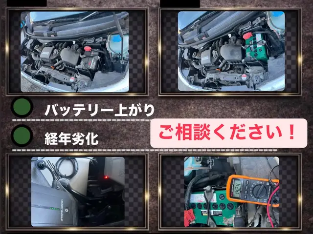 ☆即日対応もご相談ください！ジャンプスタートも対応可能！発電量の点検も行います！サービスの画像
