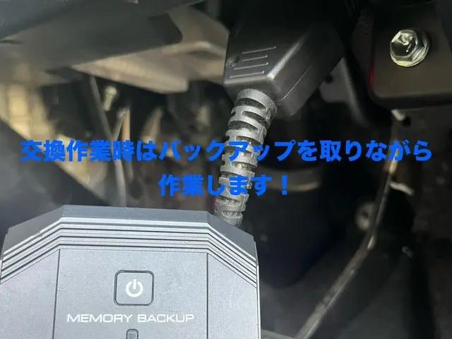☆即日対応もご相談ください！ジャンプスタートも対応可能！発電量の点検も行います！サービスの画像