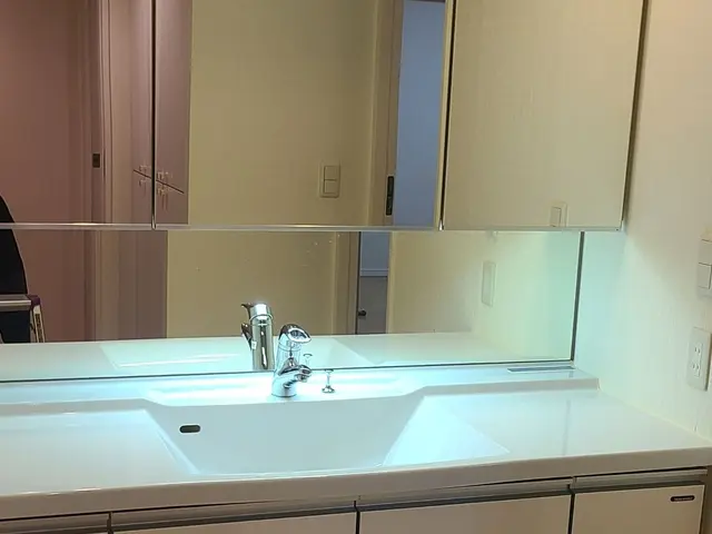 ■必ず女性と２人作業■洗面所クリーニング※PayPay支払い可能サービスの画像