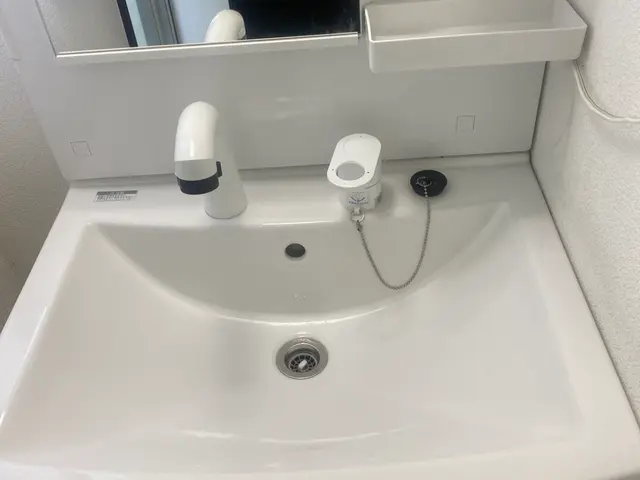 ■必ず女性と２人作業■洗面所クリーニング※PayPay支払い可能サービスの画像