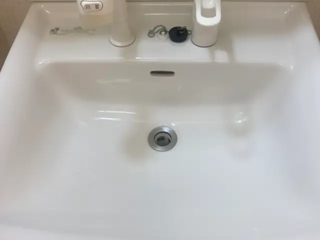 ■必ず女性と２人作業■洗面所クリーニング※PayPay支払い可能サービスの画像