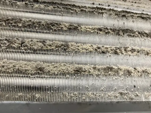 ★使い終わった今がクリーニングの時期★複数台でお得★損害保険加入サービスの画像