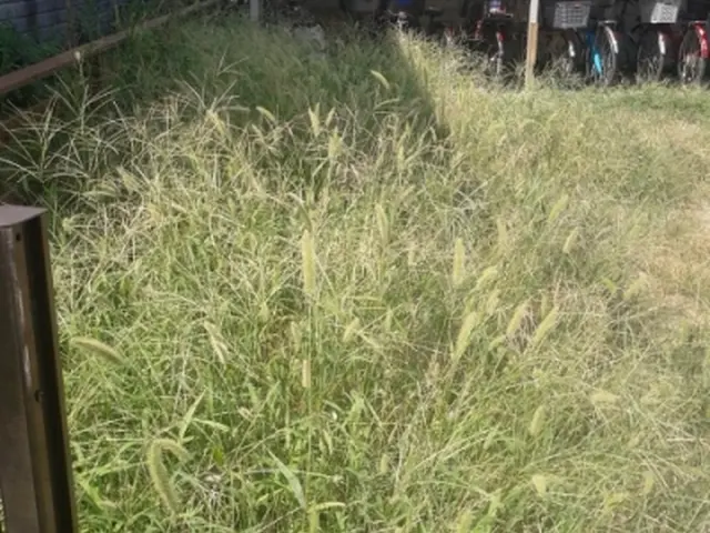 安城から◆口コミ高評価◆ご要望に対応◆お客様疑問30分以内対応◆50平米約15坪サービスの画像